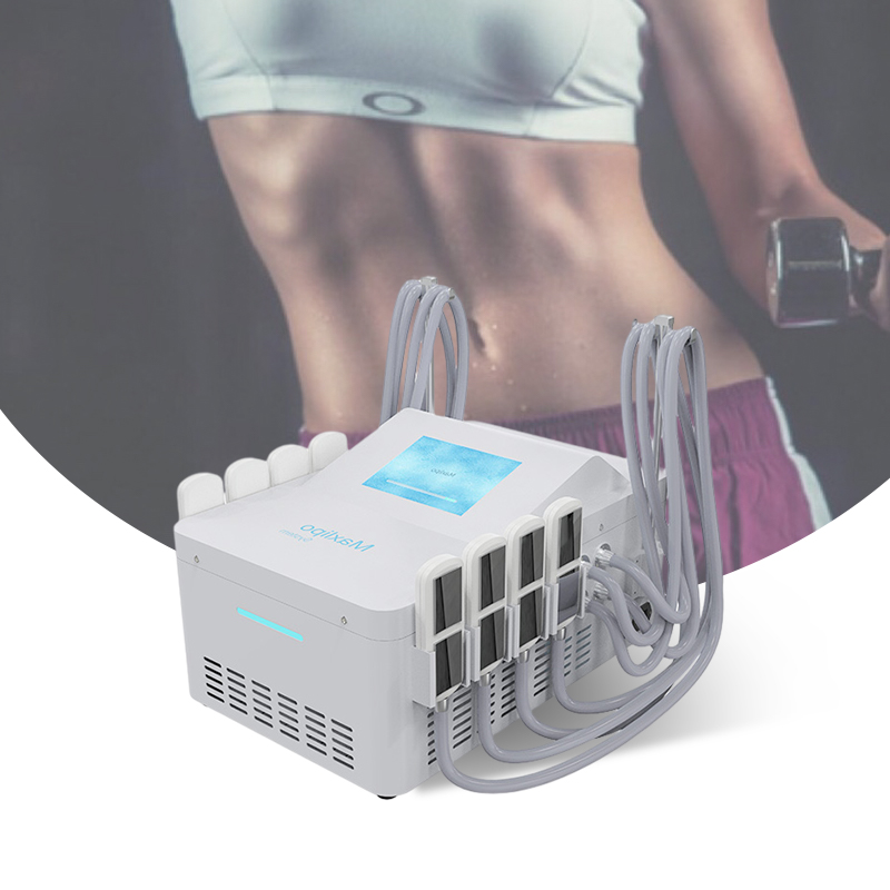 portable-2-in-1-cryo-ems-cryolipolysis-plates-body-slimming-criolipolise-de-placas-machine